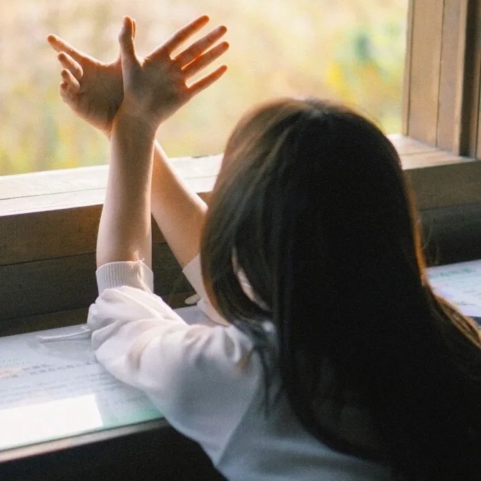 纳粹的攻击